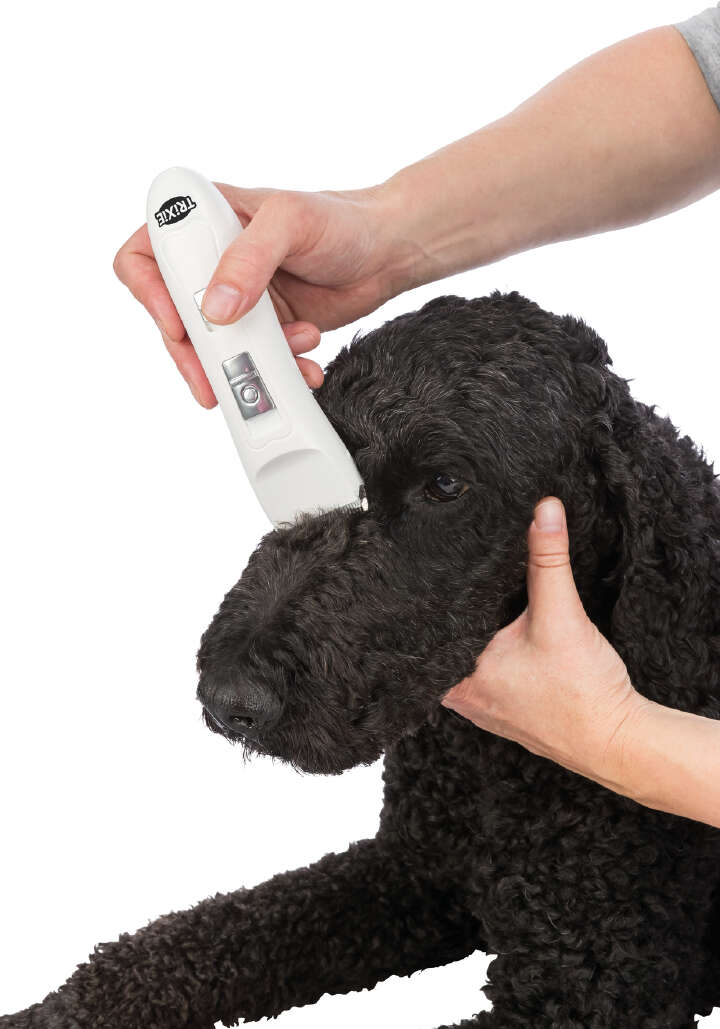 TRIXIE Schermaschinen-Set Akku TR1150, 6 W